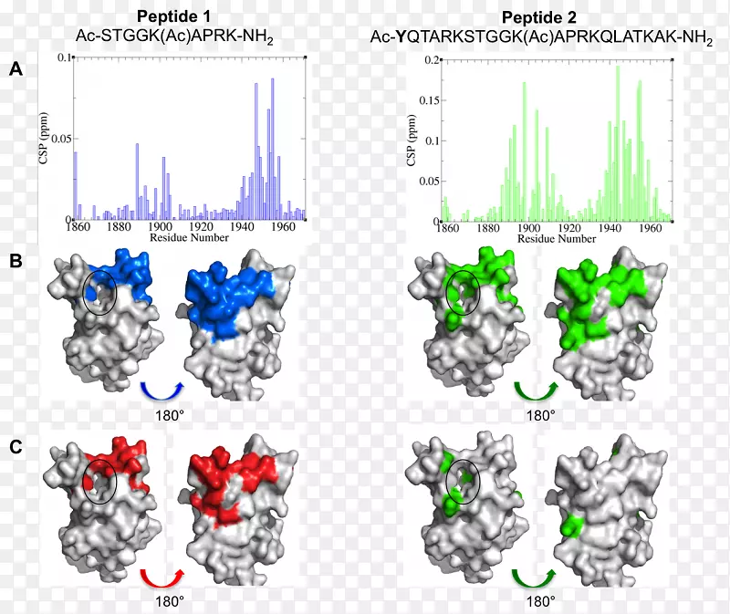 ���ߵ����鱦.��-������