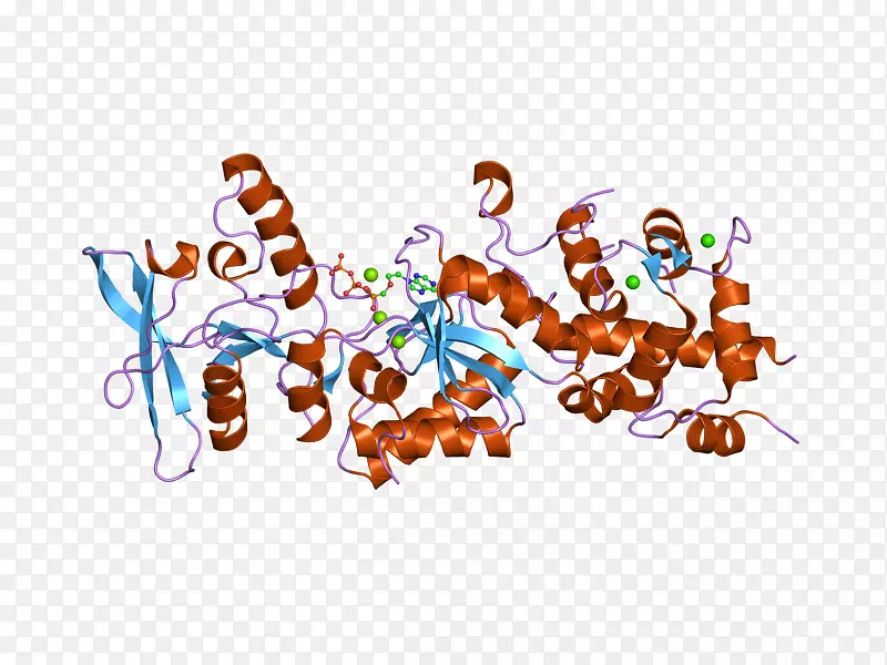 �����ֽ���Լ���������-������