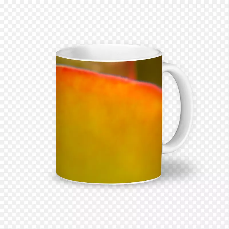 ��-��ȸ-������