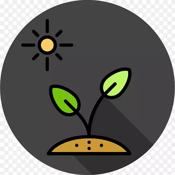 ����è���Ӽ�����è-������