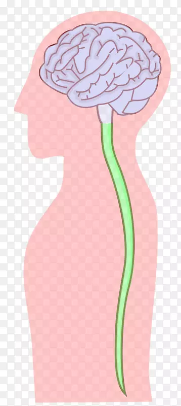 ������ϵͳ��Ԫ������-������