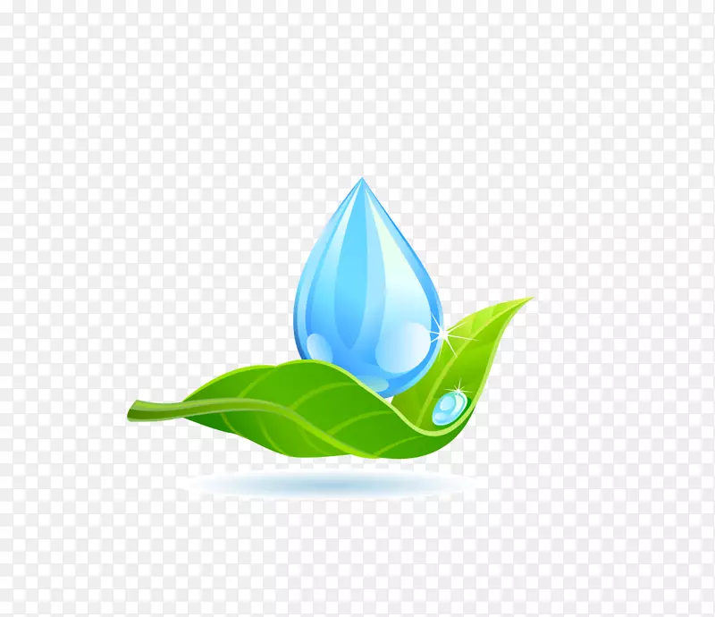 Ҷˮ��־��-ˮ����Ҷ-������