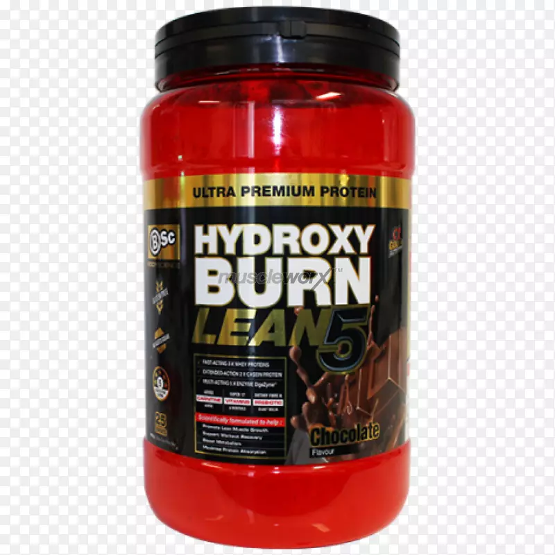 ��������ʳ����������ѧ�������������ѧ��ѧ-������