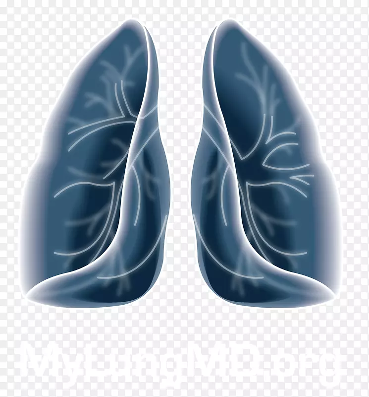 �������-������