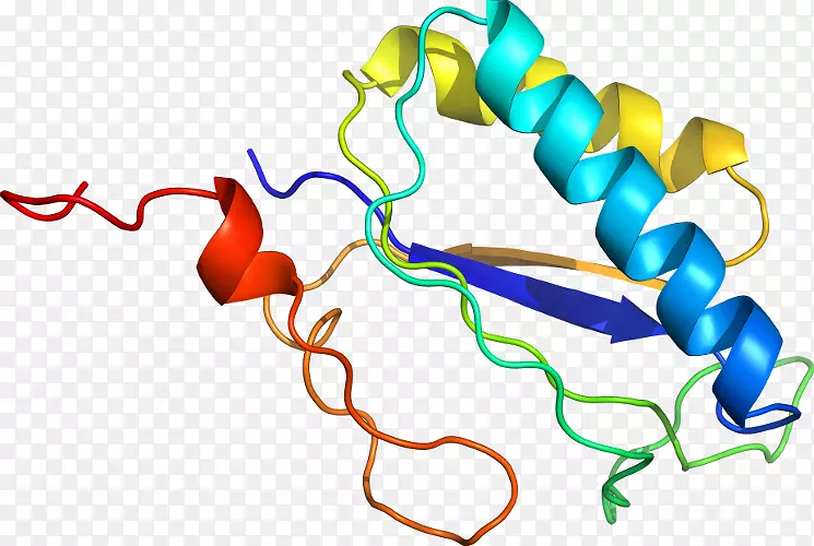 �ߵ������������-������