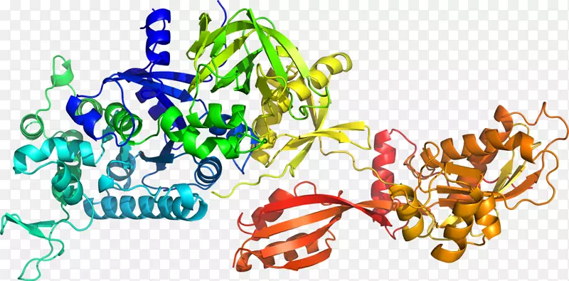 ��ʳ�߼�����-��-������