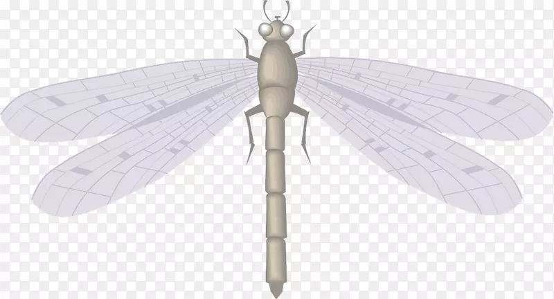 ����������������-��ɫ���ѷ���-������