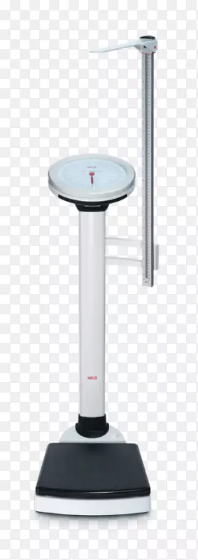 SECA GMBH����������������-������