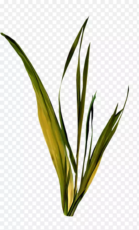 ����Ӱ�����ؼ�����-???-������