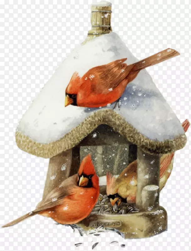 ������ˮ�ʻ�����-������