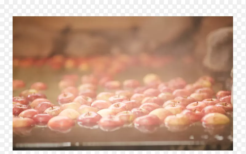 ����-��ɭ-������