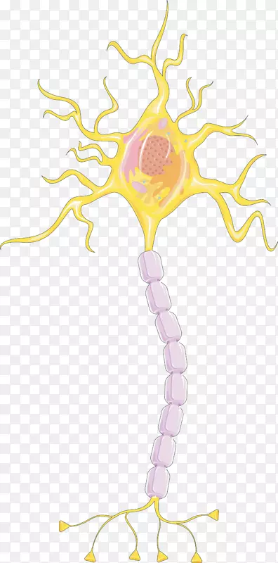 ���������-������