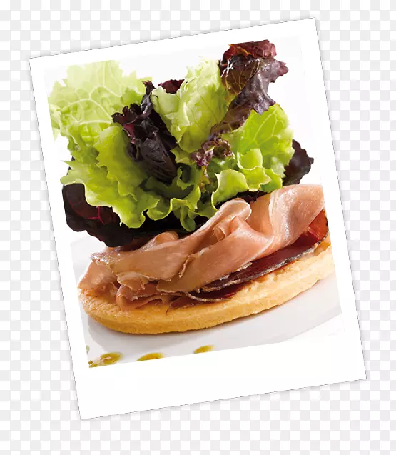 ����������ڱ�����Ѭ����ʳ��-����-������