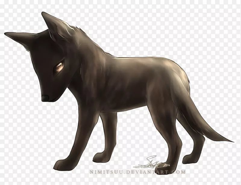 è����ֳ����è-������