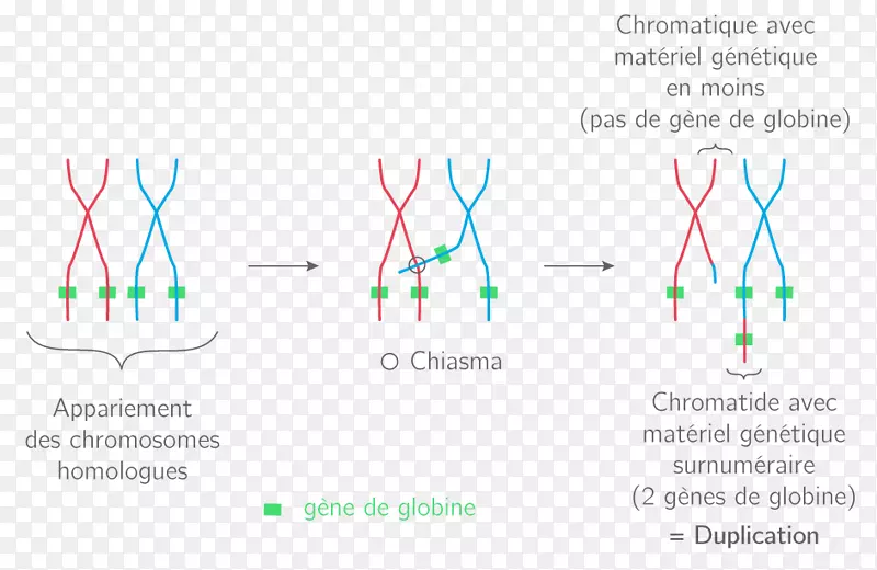 ͼ�����-������