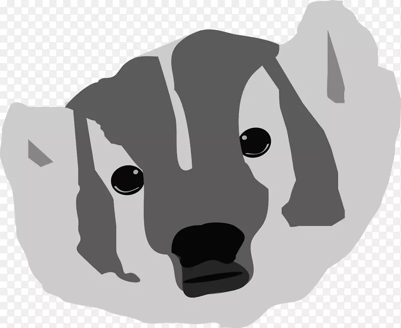 ����è���ӹ�-������