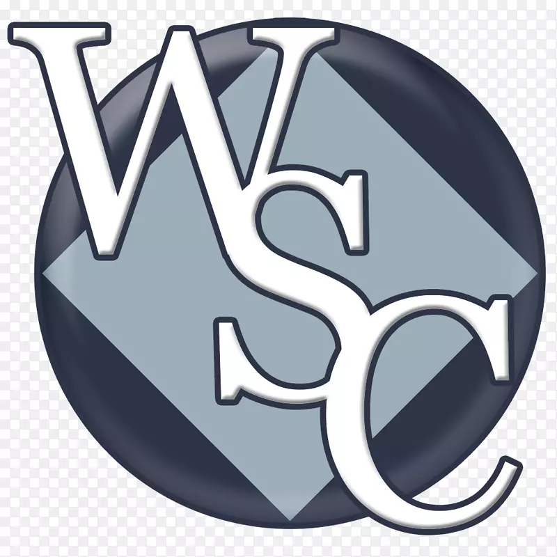 ������ʹ�����ѯ�����о�-������