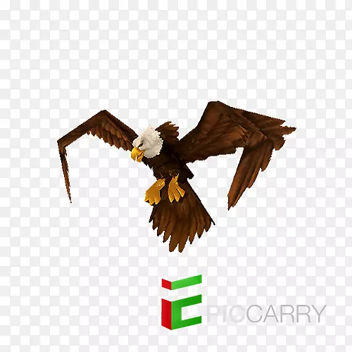 ͺӥ�ӥ-������