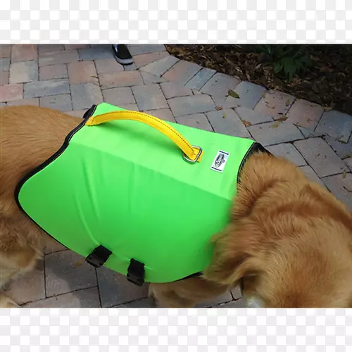 ��������������ۻ�����-������