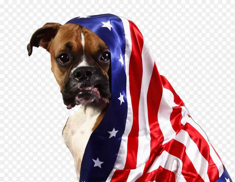 Ȯ��ȭ���ֹȶ�ţȮ����-������