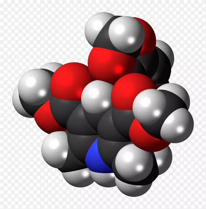 ʥ��װ��Ʒ-ʥ����-������