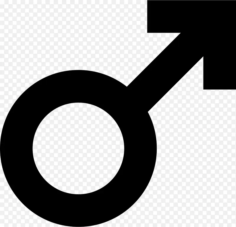 Ʒ�ư�ɫ���������-������