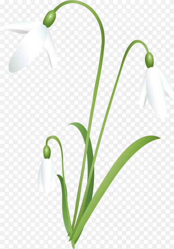 ѩ���л�����ѩ��-ѩ��-������