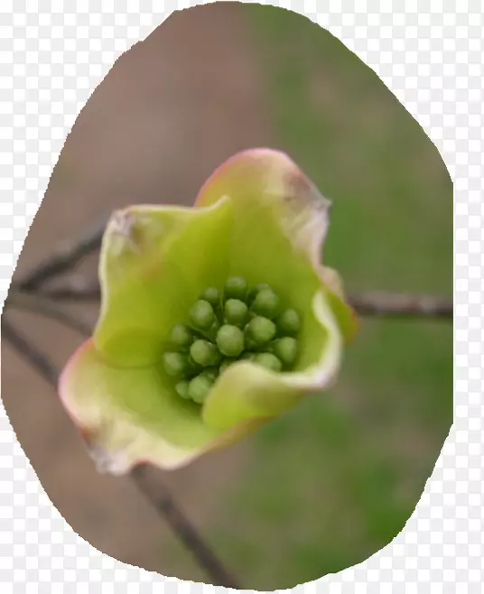 ������ˮ������-������