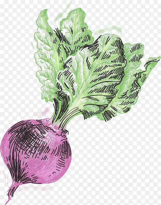 Ҷ��ơ�Ʋ���-ơ��-������