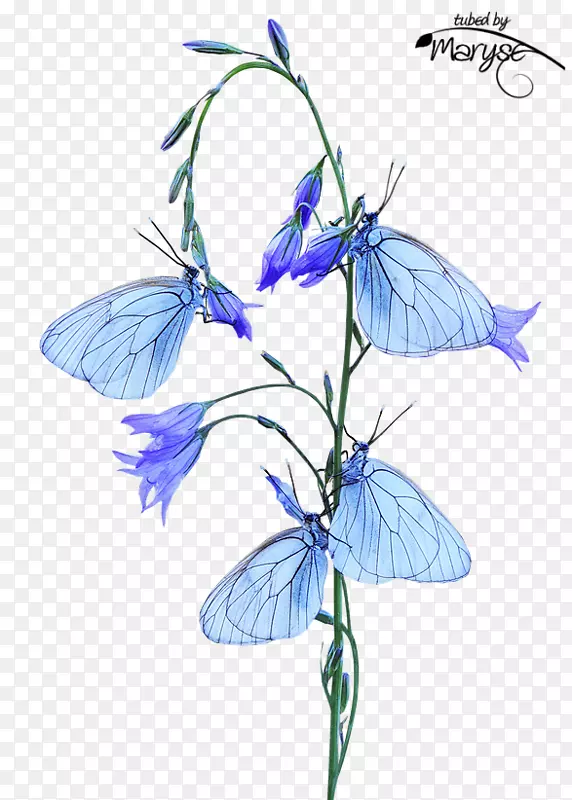 ���涯������ͷɶ�������������.����-������