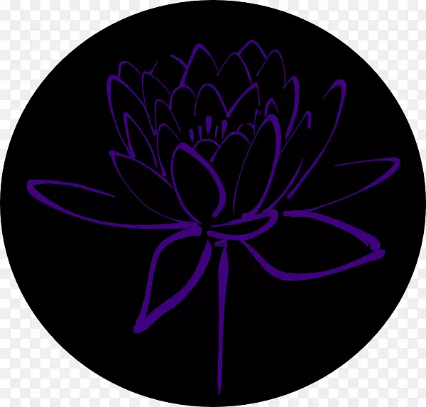 ����ֲ��-��������-������