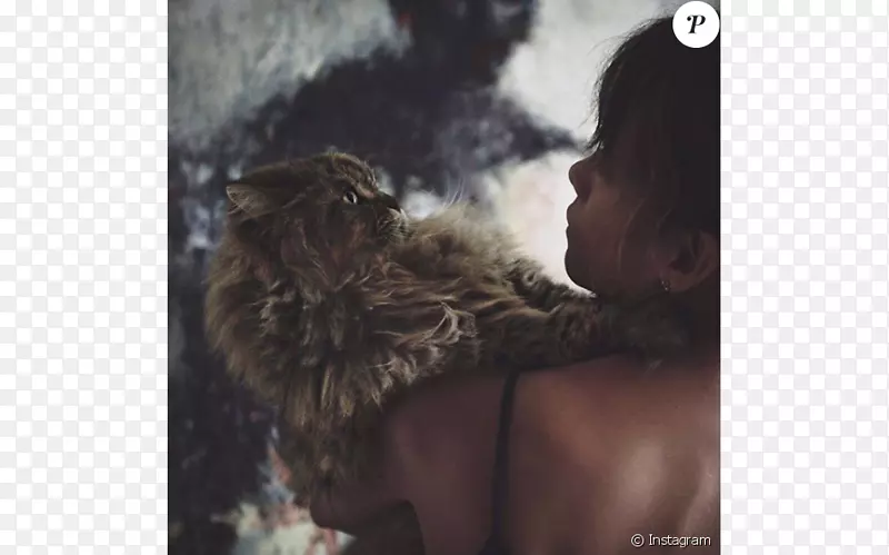 Ȯ��Ȯ�Ʊ��ӳ���Ȯ-������