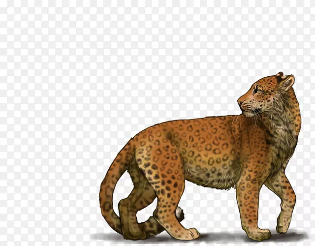 �Ա�����ʨ½�ض���Ұ�������Ա�-������