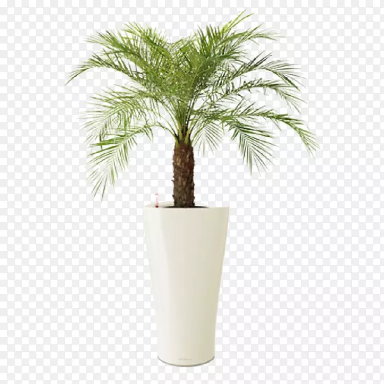 ���桢�������������ֲ��-�����-������