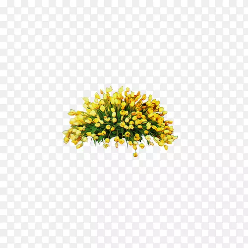 ����-������