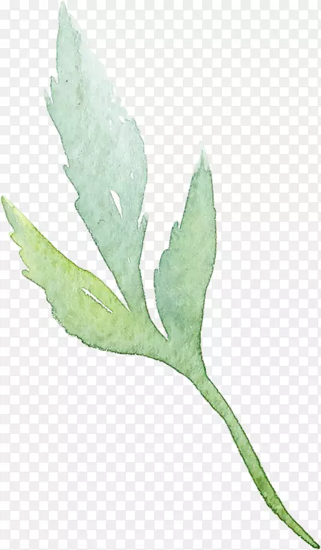 Ҷˮ�ʻ�������ˮ�ʻ�ˮ�ʸ�����Ҷ-������