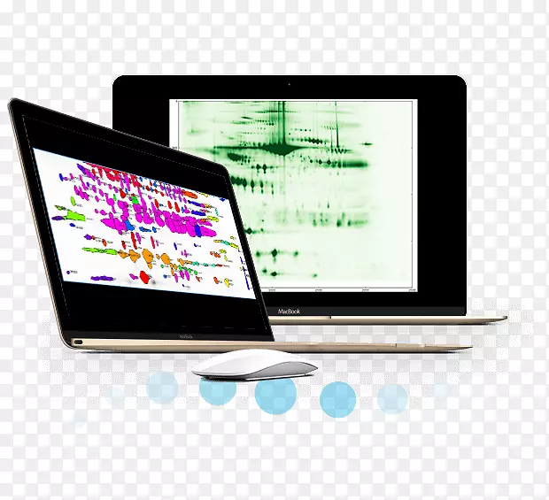 ���Լ�ض�ý��Ʒ��-Ѫ��ͼ������-������