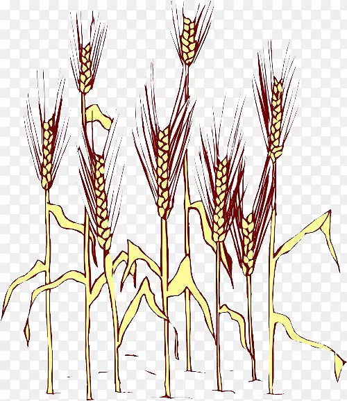 ������ˮ��-������