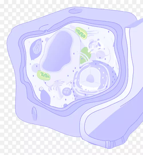 ֲ��ϸ���л������-������