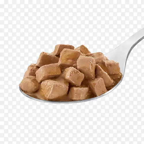 è����ζ��ѧ��ʳ��֭����-������