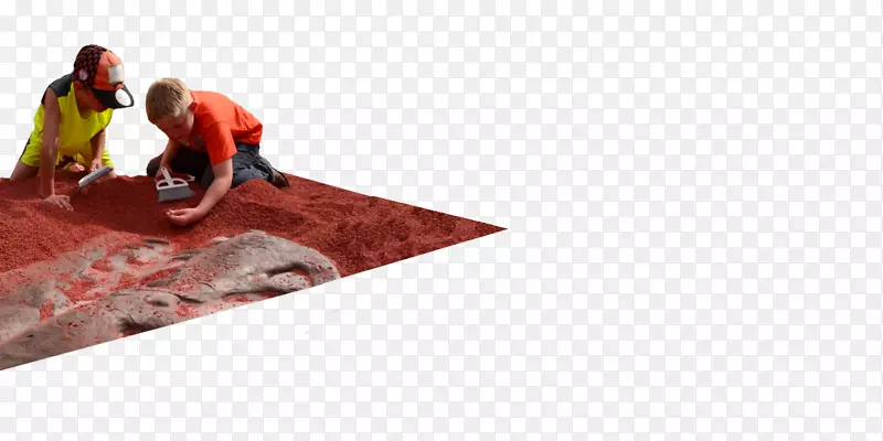 �ذ��٤����������������-������