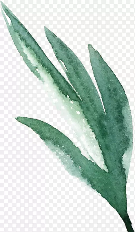 ˮ�ʻ�ˮ�ʣ�ˮ�ʸ�����Ҷ-������