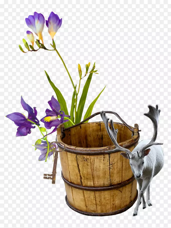 Ͱ-ǣţ����¹-������