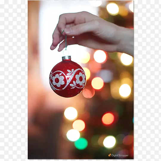 ʥ����װ�ε�����ɫ-ʥ����-������