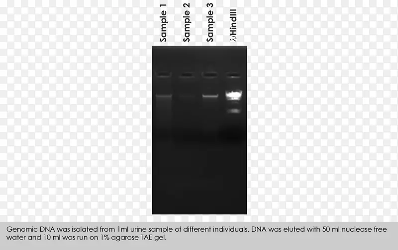 Ʒ�Ƶ������-������