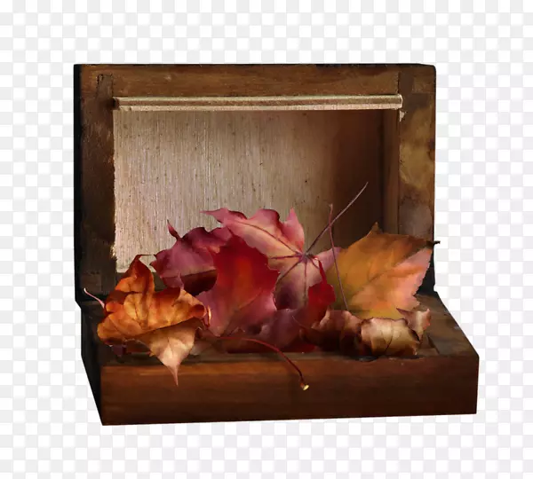 ������Ӱ������򲩿�-����-������