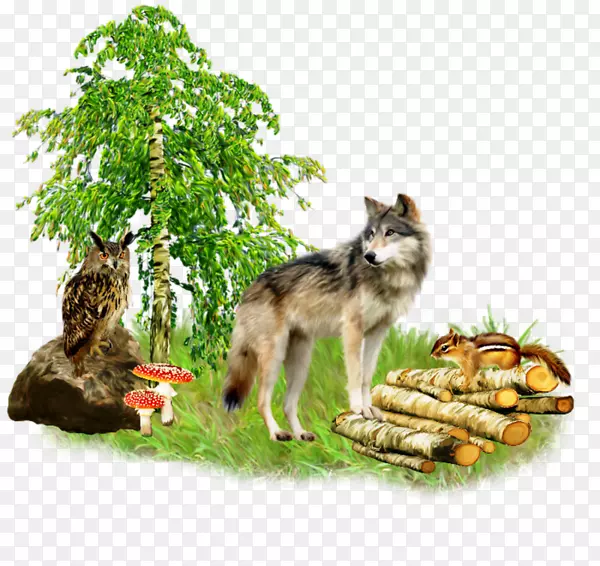 ���ǲ��ͼ������������Ǻ�èͷӥ-������