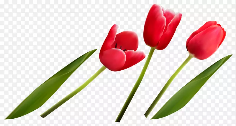 �����㻨��-һ����-������