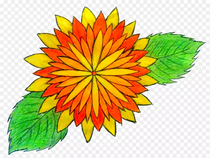 ���껨�����-������