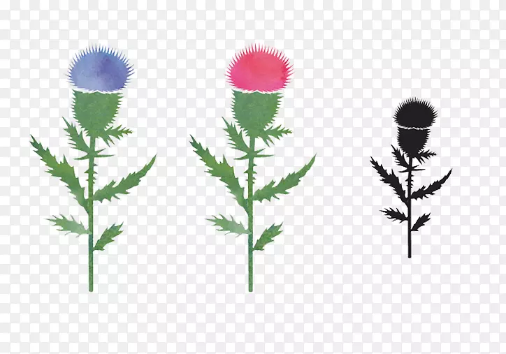 ���ѹ�Ӣ���Ӵ���-������